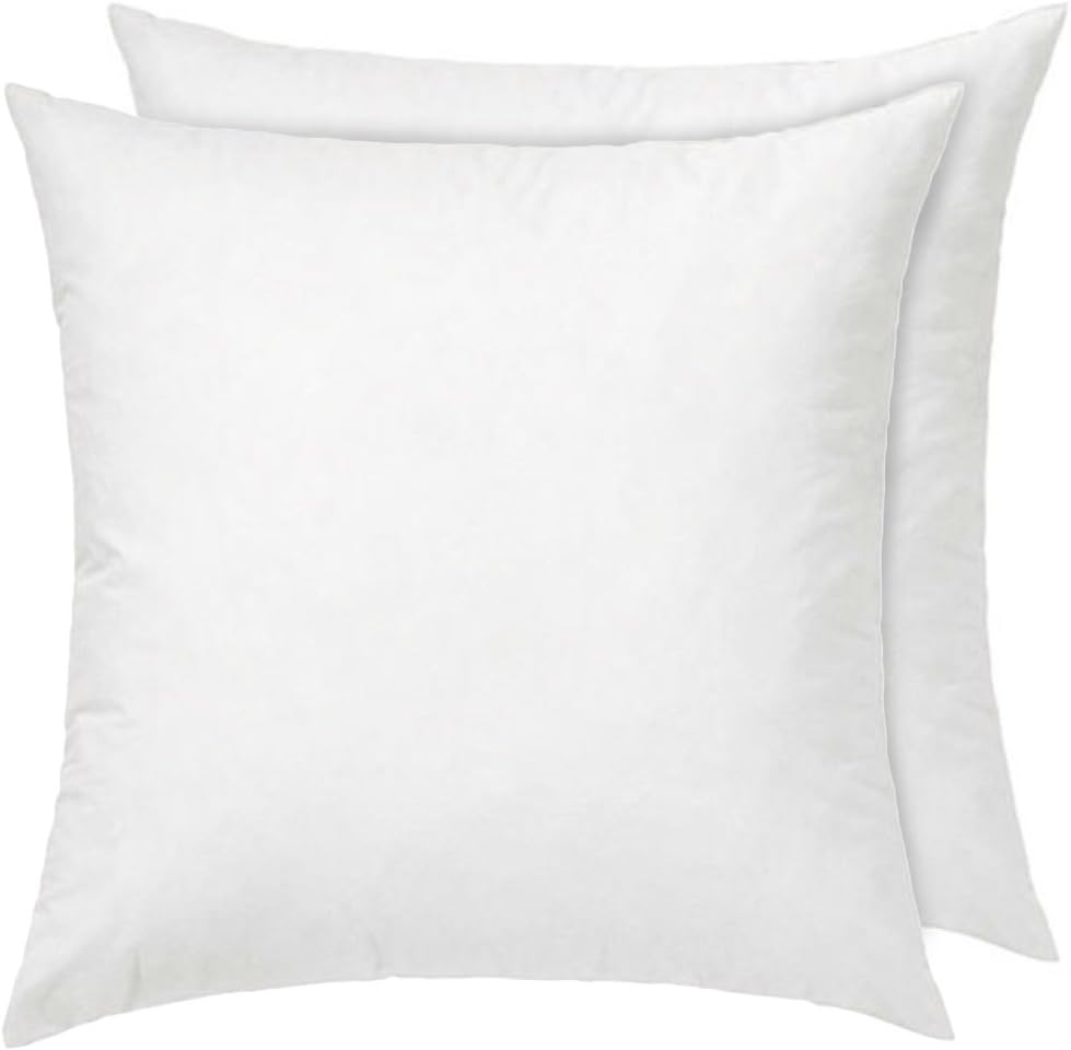 RoyalPie Cushion Inner Pad, Cushion Pad, Hypoallergenic, Square, White, 18x18 inches (22"x 22", Set of 2)