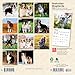 Australian Shepherds | 2026 7 x 14 Inch (Hanging) Monthly Mini Wall Calendar | BrownTrout | Animals Dog Breeds
