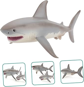 ★希少★ サメ(メジロザメ)の剥製 fr190019_2.jpg