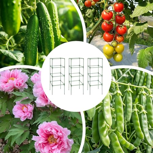 Jaulas para tomates de jardín con altura ajustable lote de 3 tutores resistentes para huerto 5
