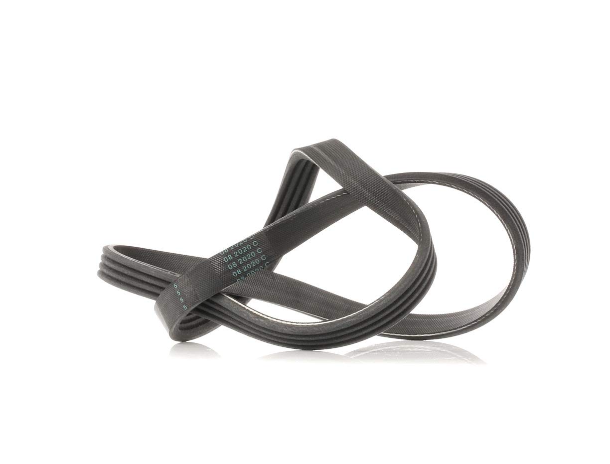 Dayco 4PK841 Poly Rib Belt