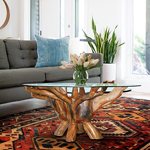 Chic Teak Teak Root Coffee Table Including 43 Inch Round Glass Top, Made From Solid A-Grade Teak Wood #TOP4