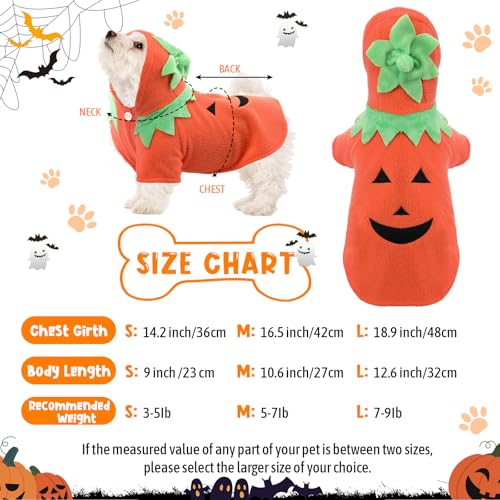 Disfraz Halloween Calabaza para Perro Talla M 2 piezas miniatura 2