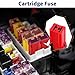 Jcase Fuse Kit Mini Jcase Fuse Assortment HIGH Profile 40A Fit for Ford Chevy/GM Nissan and Toyota Pickup Trucks Cars and SUVs
