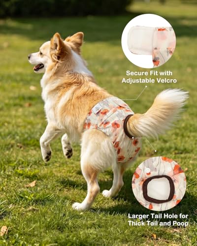 Image of CuteBone Dog Diapers Female Washable Small Medium Large 3 Pack Reusable Doggie Diapers Puppy Period Pants for Doggy Heat Cycle Peeing