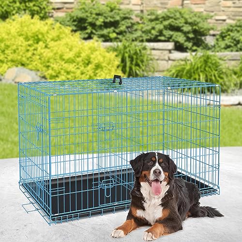 Image of BestPet | Dog Crate | 48 inch | Blue | Foldable Metal Kennel with Double Doors