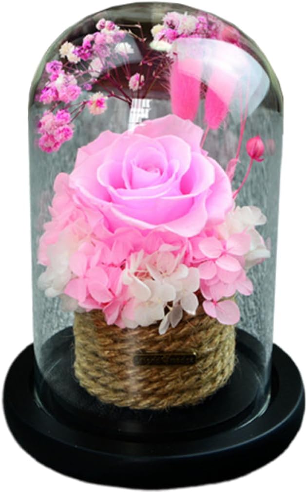 Romantic Preserved Rose Dome Box Elegant Glass Cover for Valentine Day Mother Day Christmas Eternal Flower Arrangement Rose Keepsake for Loved