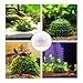 ASUNFO 4 Pcs Aquarium Moss Ball Holder Plastic Aquarium Shrimp Fish Tank Plant Shaping Filter Ornaments Decor