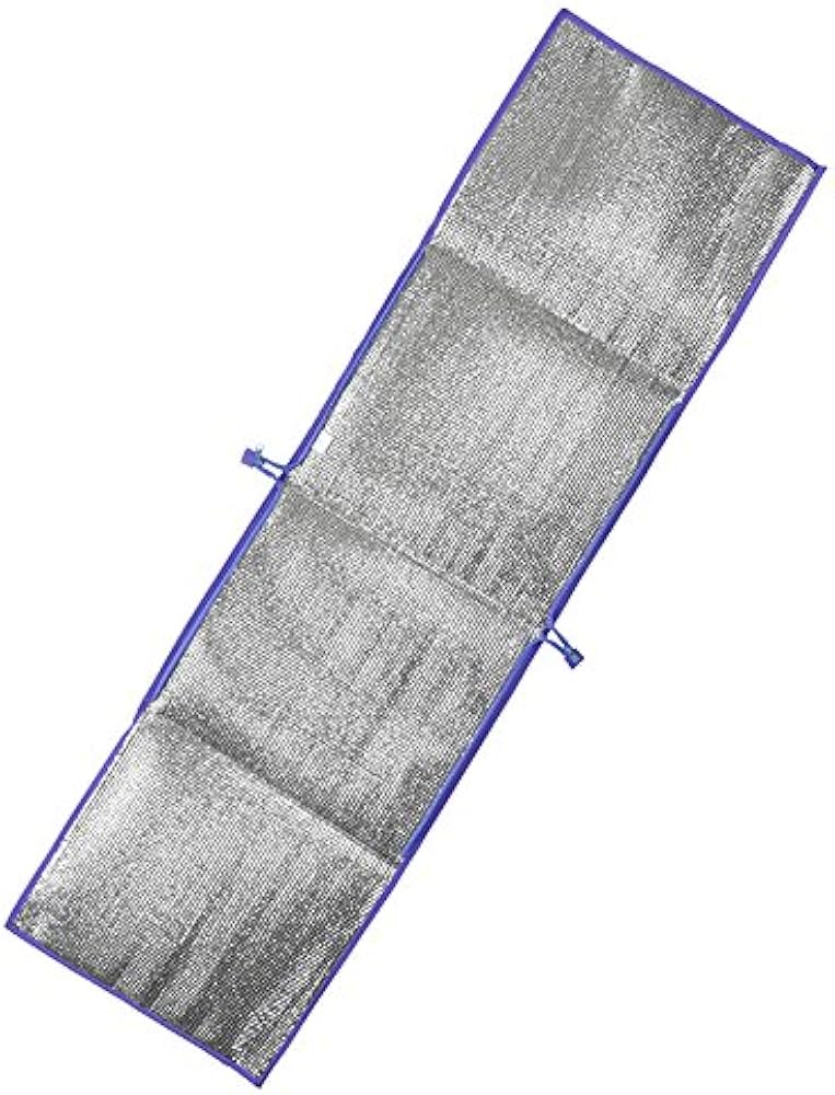 Amazon.co.jp: ディズニーストア（公式）レジャーシートバッグ