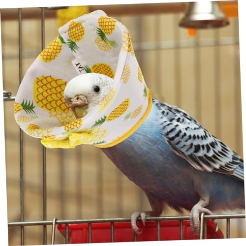 Collier de protection pour perroquet cône de sécurité haut de gamme - 4