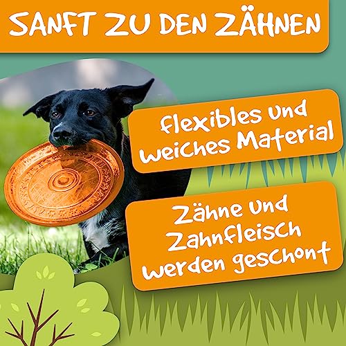 rootsnoot Frisbee FÜR Hunde | weich und super stabil | schwimmfähig | besonders Zahn - schonend | SCHADSTOFF FREI (NEON - Orange)