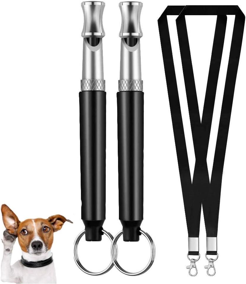 Galvanized Metal Flower Wall Decor