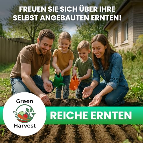TORAF Gemüsesamen Set 12 Sorten – Premium Saatgut für Garten, Balkon & Hochbeet – Tomaten, Gurken, Zucchini, Salat, Brokkoli, Karotten, Grünkohl, Schnittlauch – Anzuchtset Gemüsepflanzen