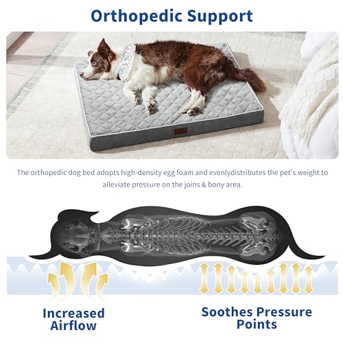 Orthopedic Dog Beds for Large Dogs with Removable Washable Cover Dog Crate Bed for Xxl Xl Large Medium Dogs Velvet Plush Pet Beds Antislip Bottom Sleeping Kennel Pad Mat 42 Inch Grey  Cucciolini Doodles Orthopedic dog beds for large dogs with removable washable cover dog crate bed for xxl xl large medium dogs velvet plush pet beds anti slip bottom sleeping kennel pad mat 42 inch grey   cucciolini doodles