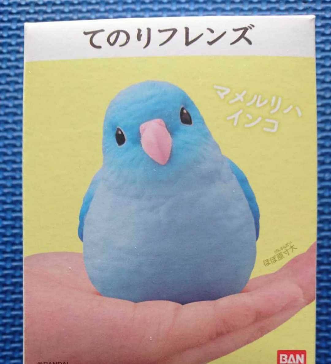 【14kgf】宝石が紡ぐ小鳥のさえずり ー ここちゃんモデル（マメルリハ） Amazon.co.jp: 画像必見 マメルリハインコ てのりフレンズ 検索:小鳥