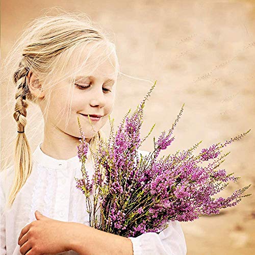 1000 Mini Rubber Bands Soft Elastic Bands, Premium Small Tiny Black Rubber Bands for Kids Hair, Braids Hair, Wedding Hairstyle ( Black)