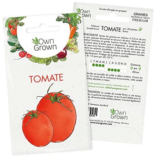 Graines de tomate (Solanum lycopersicum), graines de tomates à cultiver OwnGrown, graines pour environ 30 plants de la variété Roma