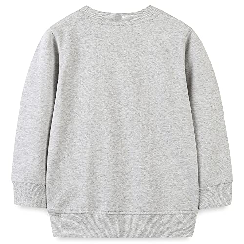 Image of Toddler Boy's Cotton Crewneck Long Sleeve Sweatshirt
