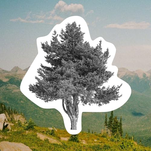 Reconnection Through Reciprocity: Learning From Nature