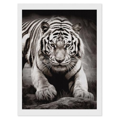 Peinture diamant tigre adulte débutant foret carré 5D bricolage