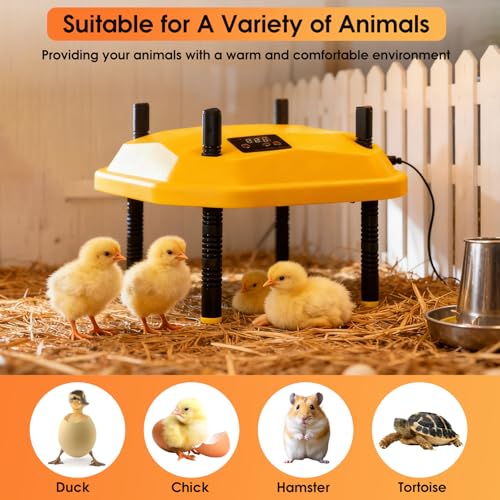 10 * 10inch Chick Brooder Heater Plate with Temperature Adjustable and Display,Adjustable Height & Angle Brooder Box for Baby Chicks Quail Duckling Chicken Heat Warmer Lamp Poultry Habitat Supplies by Bsemax - Used condition - Image 6