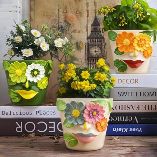 AmiCera Abstract Face Flower Pots, Colourful Plant Pot for Indoor Plants Small Cute Head Planters with Drainage - Image 4