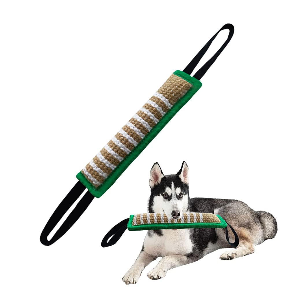 Why Does My Dog Nibble Pillows