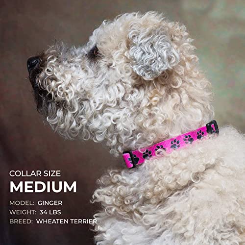 American Flag Dog Collar In 5 Different Sizes Classic (X-Large) #TOP6