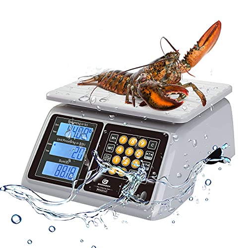 Bromech Price Computing Scale IPX7 Waterproof, 66lb Electronic Commercial Food Meat Produce Weight Scale with White Backlight LCD for Farmers Market, Seafood Rechargeable Battery Included