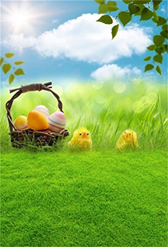 AOFOTO 3x5ft Easter Eggs Background Spring Garden Meadow Chick Photography