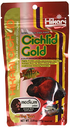 Hikari 2-Ounce Cichlid Gold Floating Pellets for Pets, Medium Hikari 2-Ounce Cichlid Gold Floating Pellets for Pets, Medium