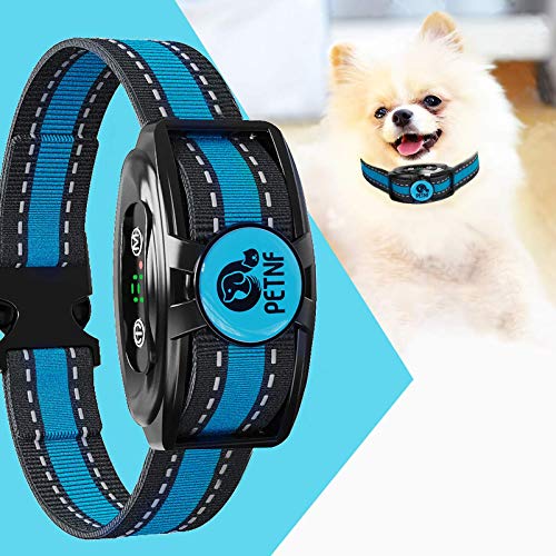 The 11 Best Bark Collar For Dachshund In 2023 Reviews & Top Picks