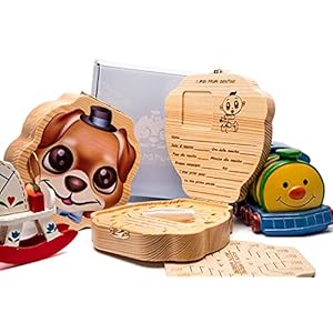 Doos Om melktanden te behouden met de stamcellen van de tanden Kostbare toekomstige gezondheid Cadeau-idee voor kinderen…