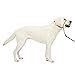 PetSafe Gentle Leader Headcollar