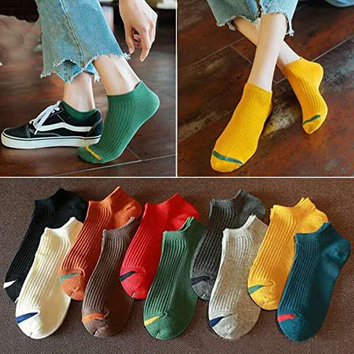Chaussettes en coton confortables pour dame de qualité supérieure pack de 10 - 4