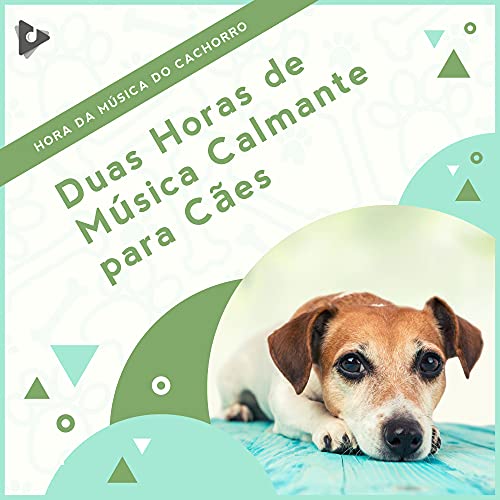 Duas Horas de Música Calmante para Cães de Hora da Música do Cachorro ...