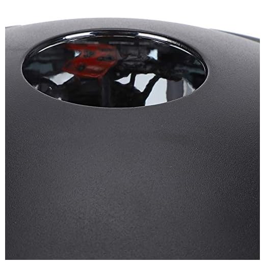 Projetor de holograma, holograma 3D multiuso, para pedras de ensino óptico de flores de brinquedo