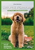 Welpen fördern: Das Praxis- und Anleitungsbuch - Alina Nierhaus 