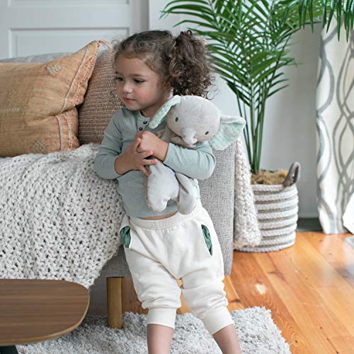 Ingenuity Premium Soft Mini Bean Bag Plush, Van The Elephant, Ages Newborn And Up. #TOP2