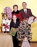 Lassie Featuring Jon Provost June Lockhart Hugh Reilly Christmas Pose 24x30 Poster