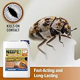 NOPE! CP Carpet Beetle Killer Spray -5L - Fast Acting, Odourless and Stainless Carpet Beetle Treatment for home use. - Image 7