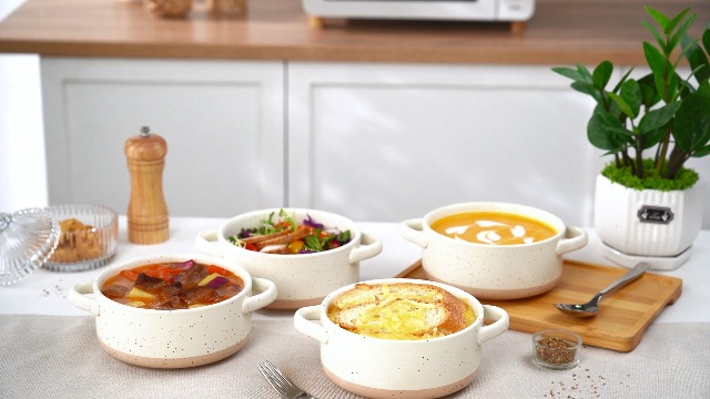Amazon.com | vancasso Sabine French Onion Soup Bowls with Handles