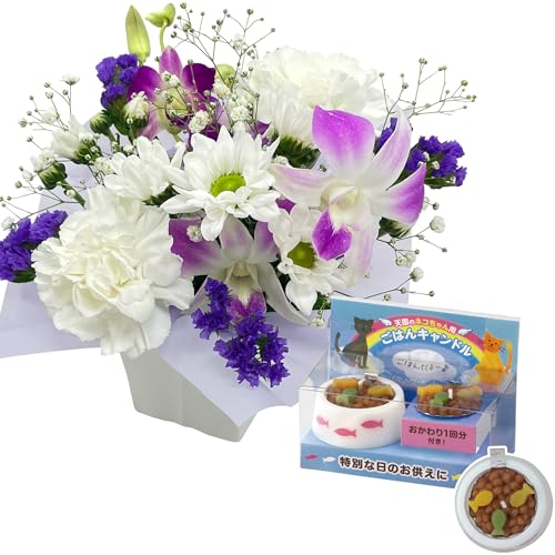 Ԃ̃Mtg   ybg L     ފ ~  ͂