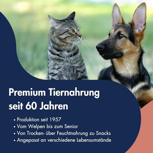 DR.CLAUDER'S - Hyposensitive | Trockenfutter mit Singleprotein für Sensible, ausgewachsene Hunde. Getreide- und glutenfreies Alleinfuttermittel im Beutel | 350g Lachs&Kartoffel