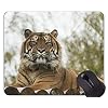 Mouse Pad Tiger Head Gaming Mouse Pad, Tiger Mouse Pad with Stitched Edges