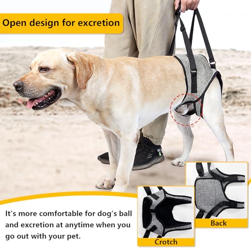 Dog Lifting Harness for Back Legs, Dog Support Harness Slings for Large Medium Small, Adjustable Dogs Brace for Hind Leg, Support Strap for Injured Disabled Elderly Dogs Walking Aid (S) - Image 4