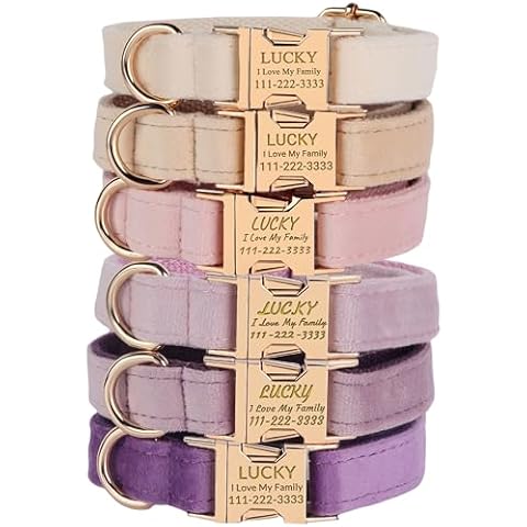 PETDURO Personalized Dog Collars Fancy Velvet for Large Medium Girl Dog - Custom Dog Collar with Name Engraved Metal Buckle - Multi-Color - Leash, Bow Tie, Harness and Poop Bag Holder Optional (XS) Cover