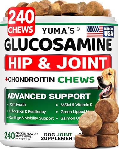 Glucosamine for Dogs - 240 Chews - Hip and Joint Supplement for Dogs - Advanced Glucosamine Chondroitin Treats with MSM - Joint Pain Relief - Large & Small Breed - Mobility Support - Made in USA