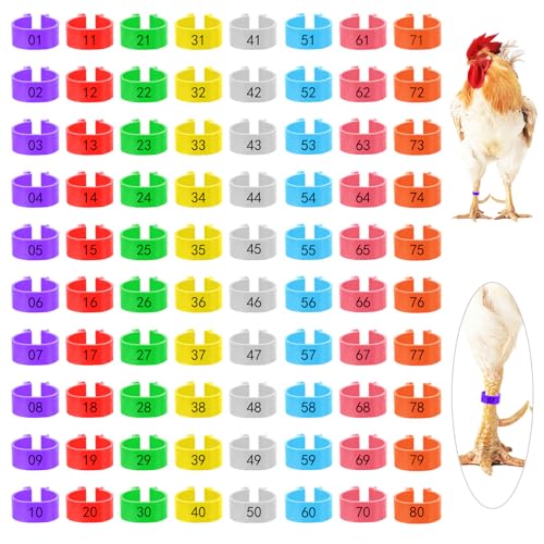 Nogeqi 80 Stück Hühnerringe 16mm, Bunt Hühner Ringe, Geflügel Fußringe, Poultry Beinringe Geflügelringe, Chicken Leg Bands Vogelringe Fußringe Wachteln für Küken, Enten, Gänse Und Anderes Geflügel