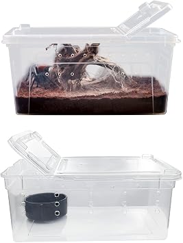 Reptile Transport Container Box Plastic Reptile Tab Reptile Terrarium Snake Breeding Bait Box Insect Tarantula Enclosure Tank Snail Spider Habitat Cage Mini Animal Keeper 2pcs